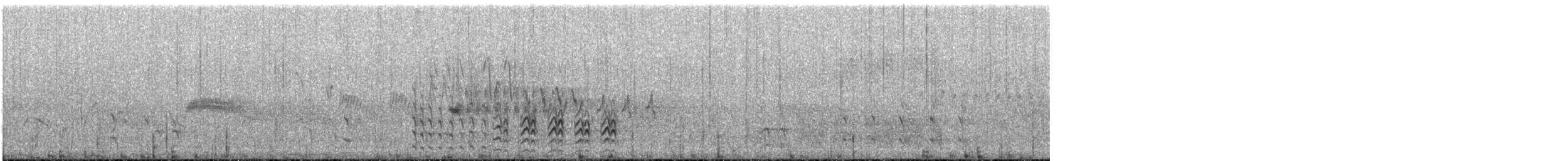 White-breasted Nuthatch - ML108238611