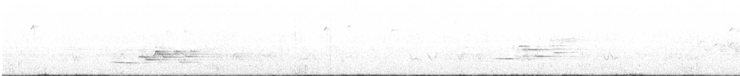 Дрізд-короткодзьоб плямистоволий - ML108282541
