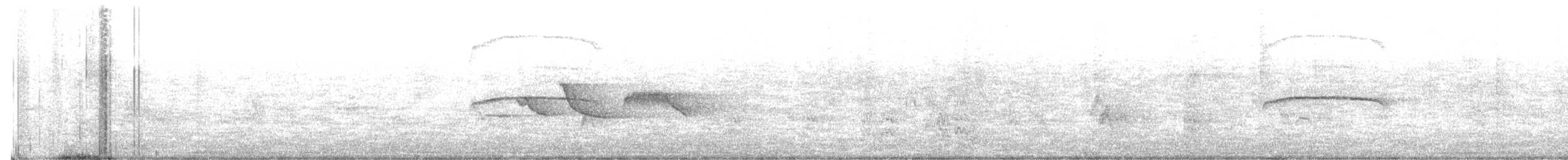 Патагонский мухолов - ML108287521