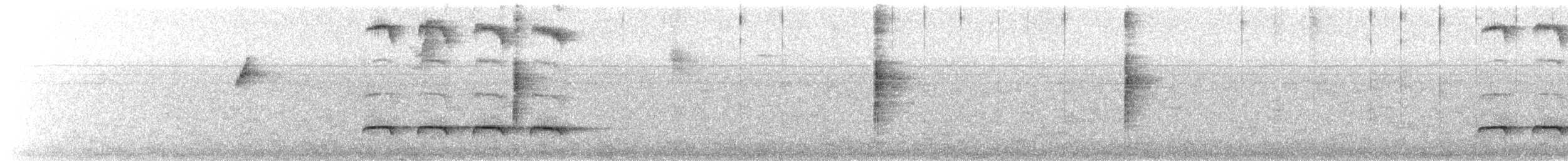Weißbinden-Ameisenvogel - ML108306681