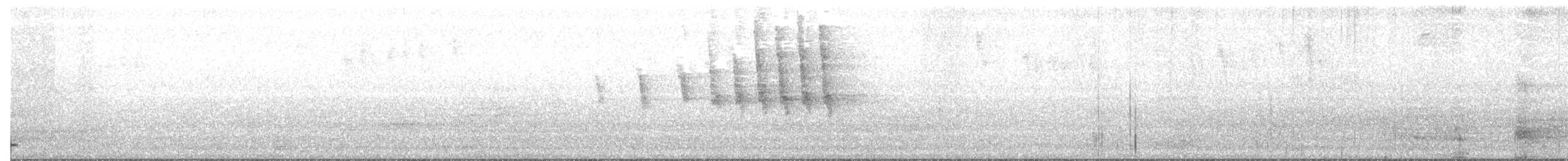 Wilson's Warbler - ML108329451