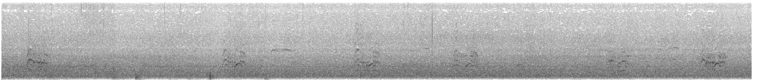 Пестроносая крачка (sandvicensis) - ML108389691