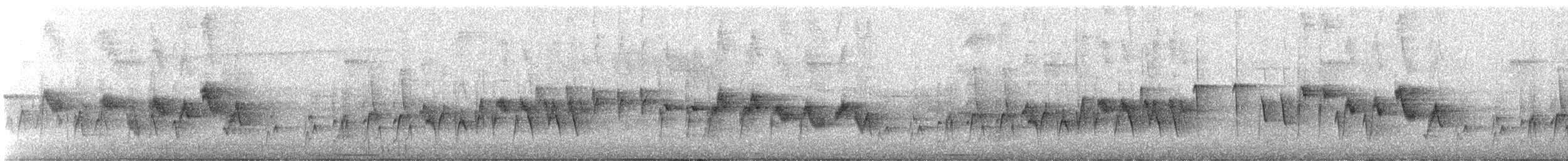 Two-banded Warbler - ML108429471