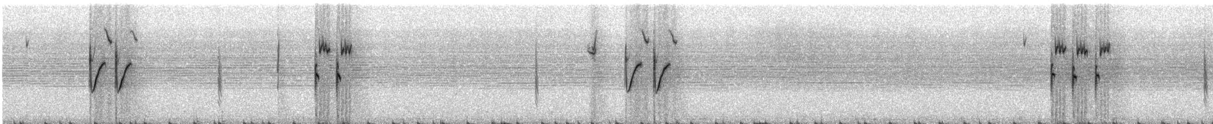 Five-striped Sparrow - ML108517821