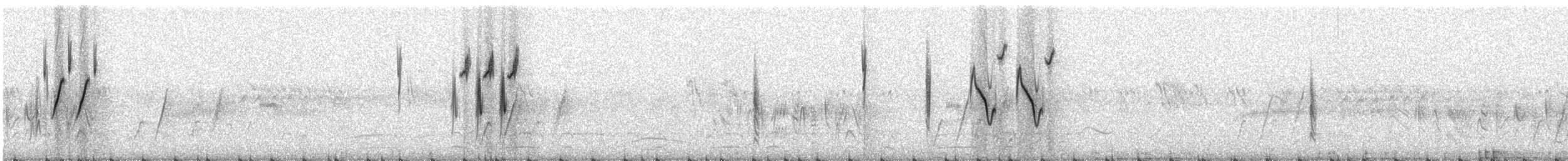 Five-striped Sparrow - ML108518541