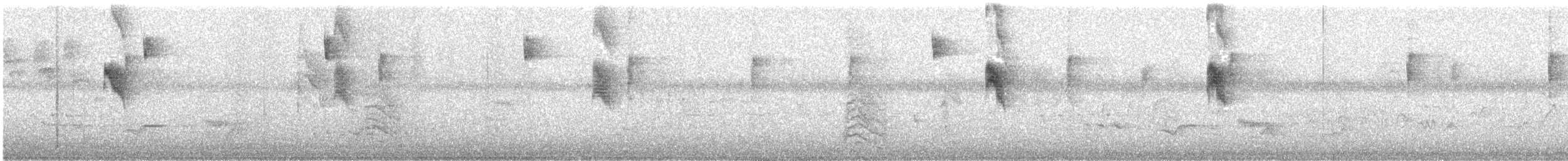 オウサマタイランチョウ - ML108550101