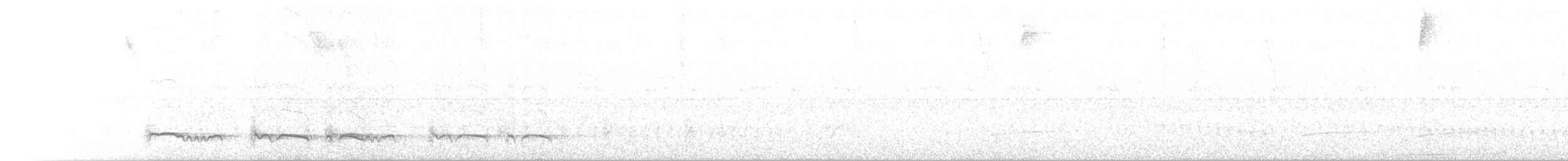 Kaatinga Pufkuşu (maculatus) - ML108555281