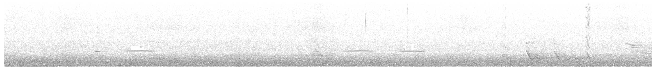 Little Grassbird - ML108559431