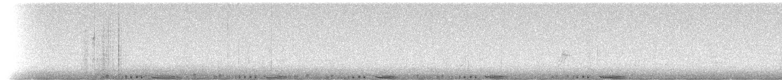 holub skalní (domácí) - ML108565161