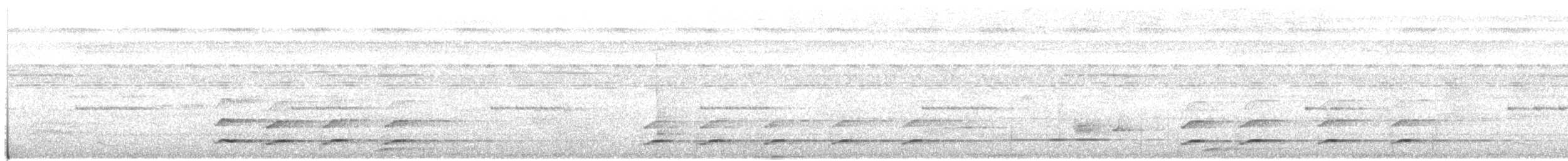 Barred Tinamou - ML108582411