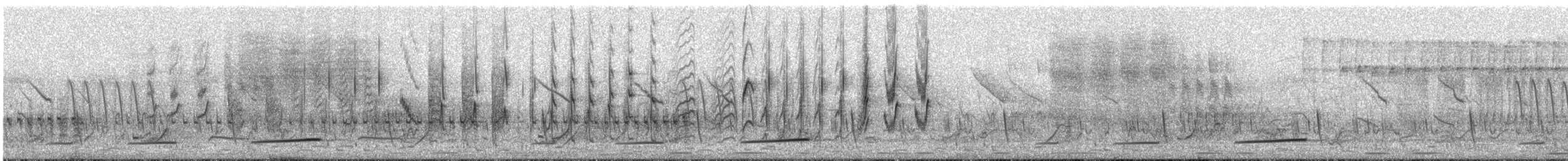 Black Cuckoo - ML108668951