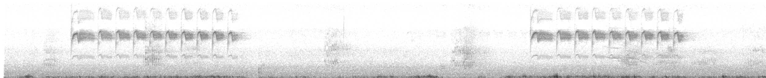 White-throated Hummingbird - ML108755751