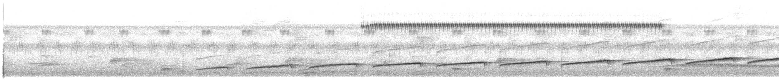 Fourmilier zébré - ML108771131