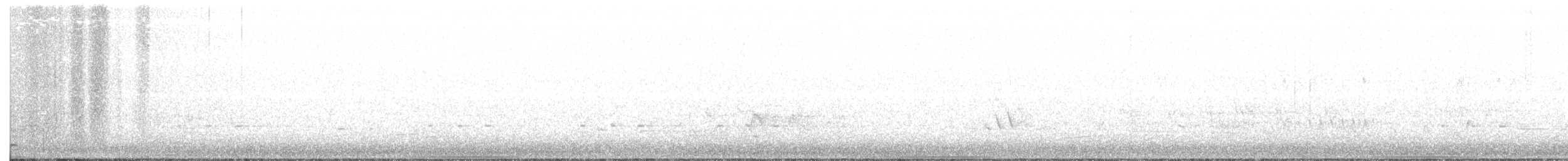 holub bronzovokřídlý - ML108780031