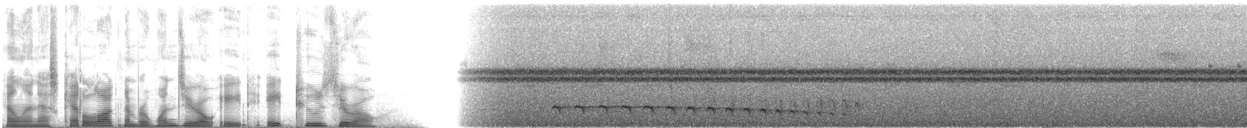 Gri Başlı Karıncavireosu - ML108820