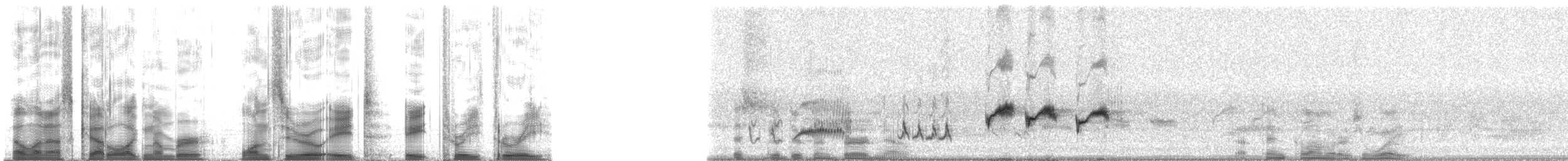 Tropical Mockingbird (Southern) - ML108833