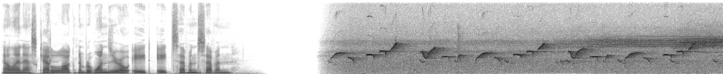 Troglodyte à poitrine grise (groupe mexicana) - ML108877