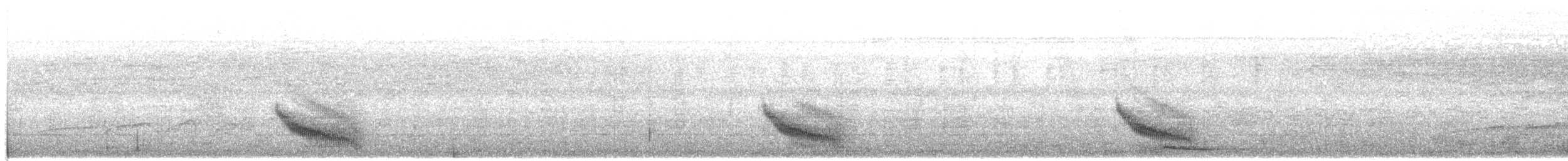 Braunweiß-Ameisenvogel - ML108886661