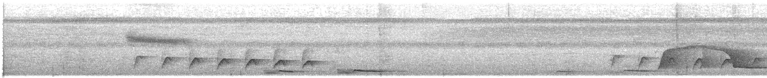 Weißflanken-Ameisenschlüpfer - ML108886871