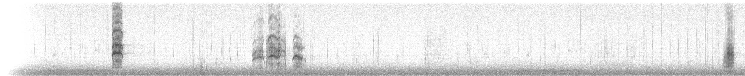 שחפית שחורת-אוזן - ML108893101