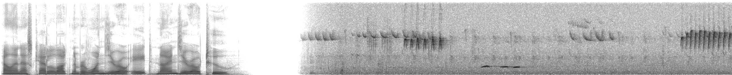 Cimitarra Cuellirrufa - ML108902