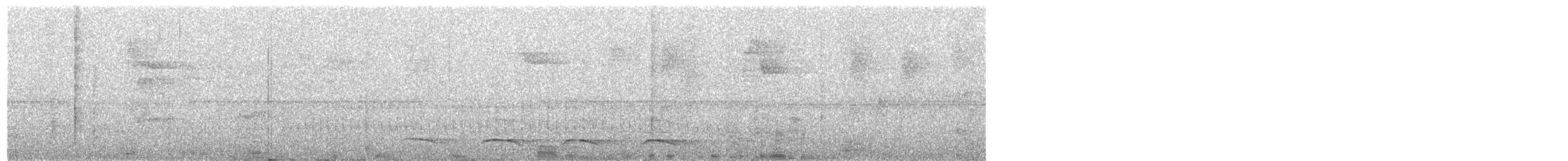 オジロキヌバネドリ（surrucura） - ML108949081