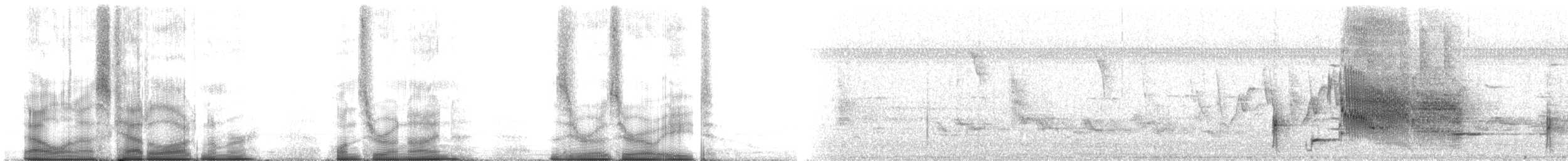 Sargento Alirrojo (grupo phoeniceus) - ML109008