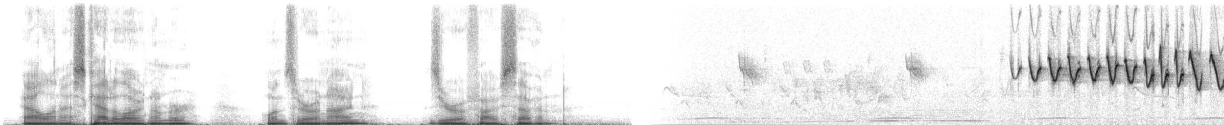 Lucy's Warbler - ML109057
