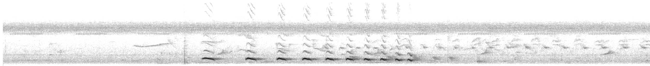 Schwarzgrau-Ameisenwürger - ML109100711