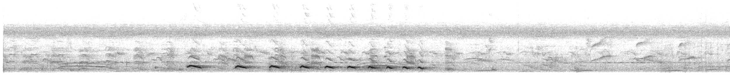 Schwarzgrau-Ameisenwürger - ML109100971