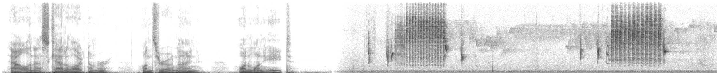 Troglodyte des marais - ML109118