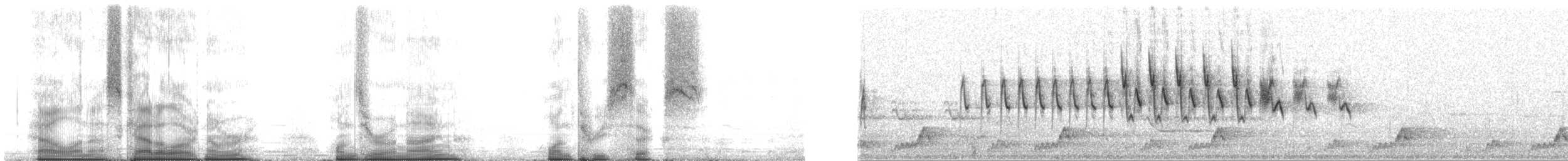 brunkroneparula (rufifrons gr.) - ML109136