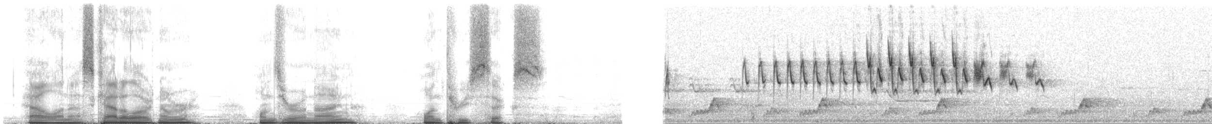 Rufous-capped Warbler (rufifrons Group) - ML109136