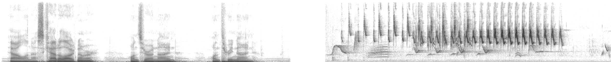 Rufous-capped Warbler (rufifrons Group) - ML109139