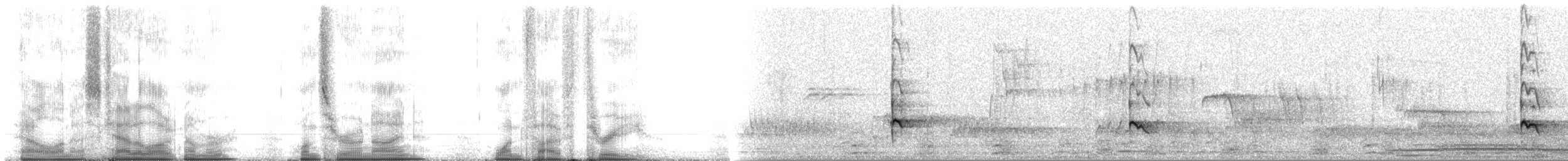 Oriole à dos rayé (groupe pustulatus) - ML109153
