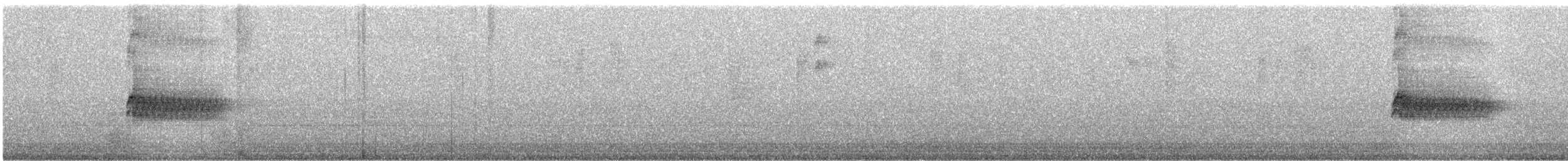 Тауї плямистий - ML109182711
