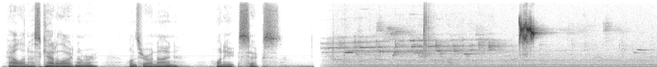 Goldstreif-Waldsänger - ML109186