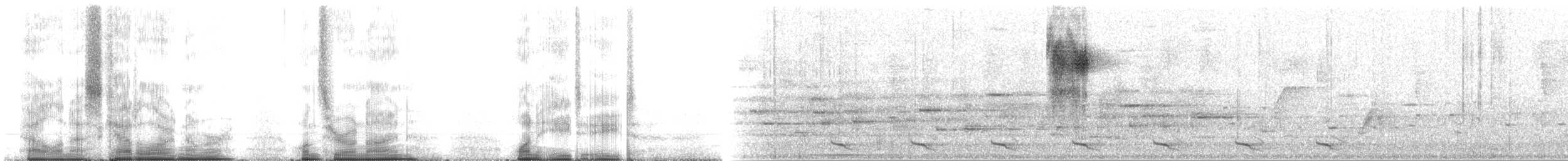 Goldstreif-Waldsänger - ML109188
