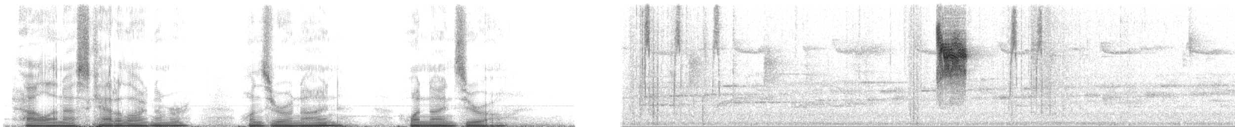 Goldstreif-Waldsänger - ML109190