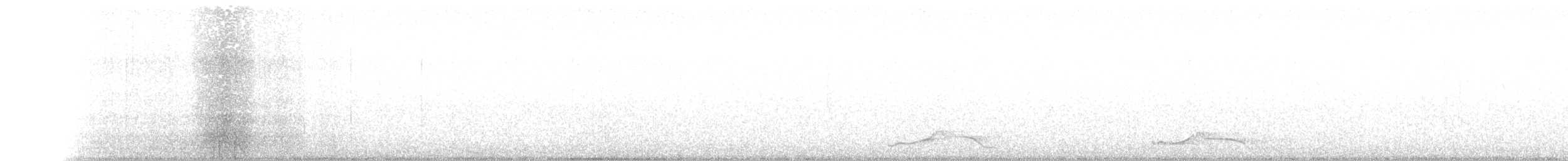 Pauraquenachtschwalbe - ML109202821