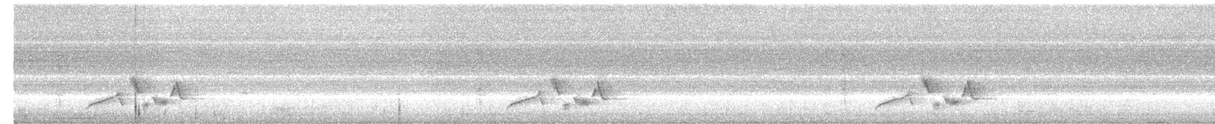 White-eyed Vireo - ML109226691