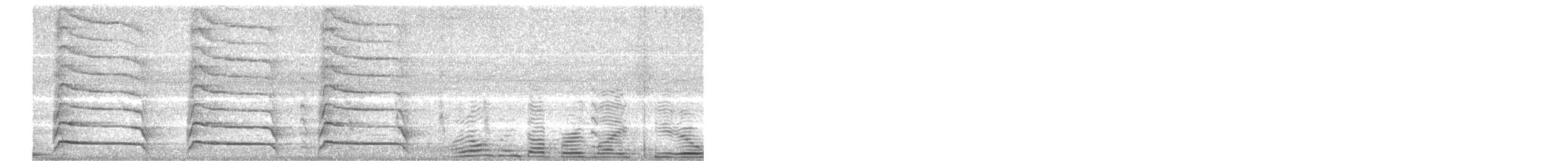 Red-shouldered Hawk (lineatus Group) - ML109226811