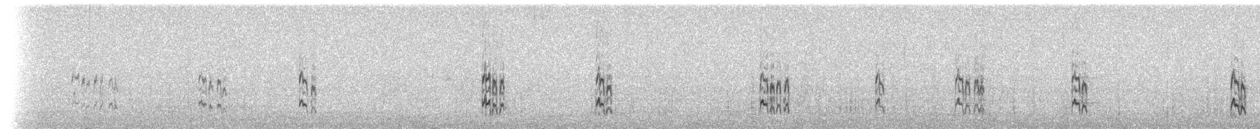 Plectrophane à ventre noir - ML109242841