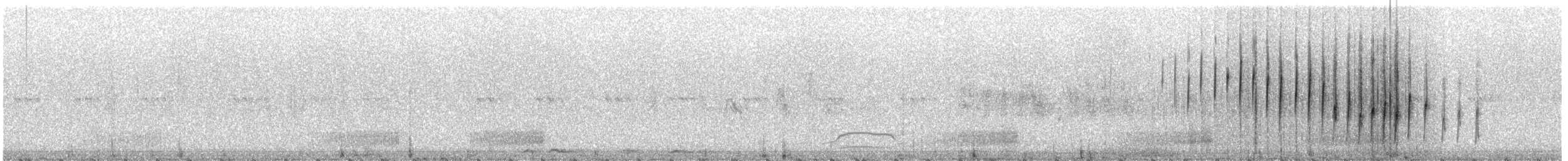 Five-striped Sparrow - ML109251691