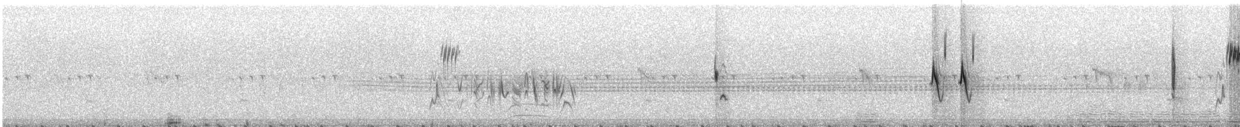 Five-striped Sparrow - ML109252191