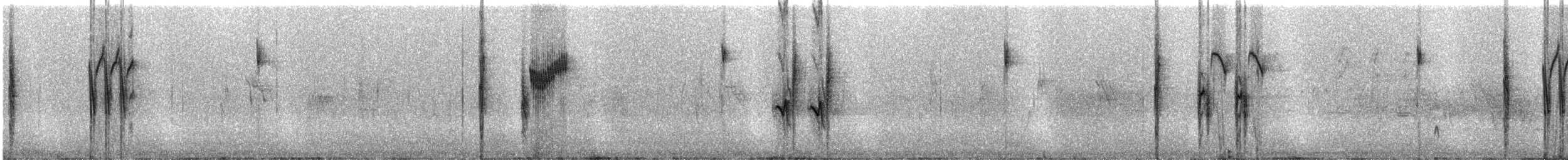 Five-striped Sparrow - ML109253291