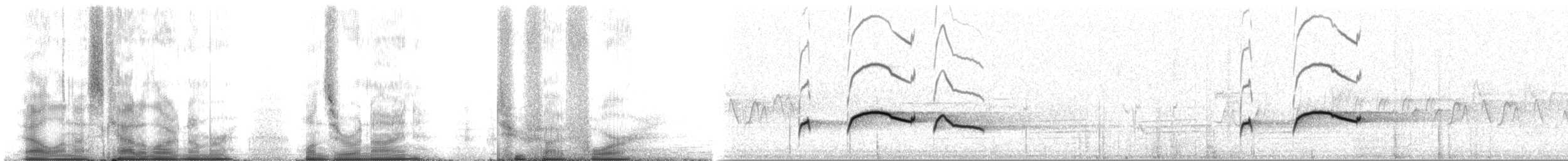 Boreal Sinekkapan - ML109254