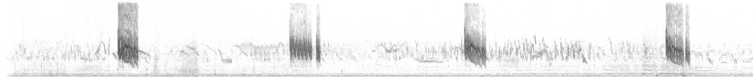 Txoriandre pispoleta mediterraneoa - ML109303571