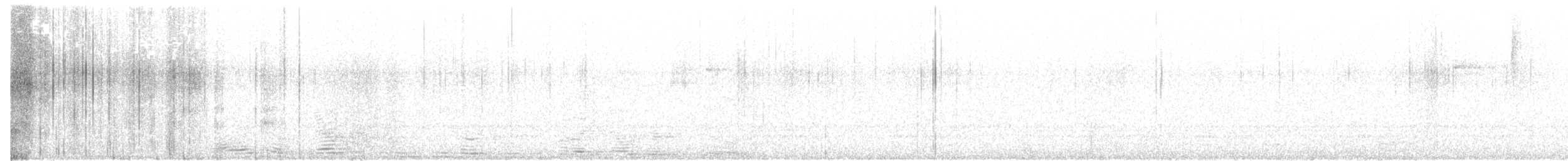 puštík západní (ssp. caurina) - ML109344301