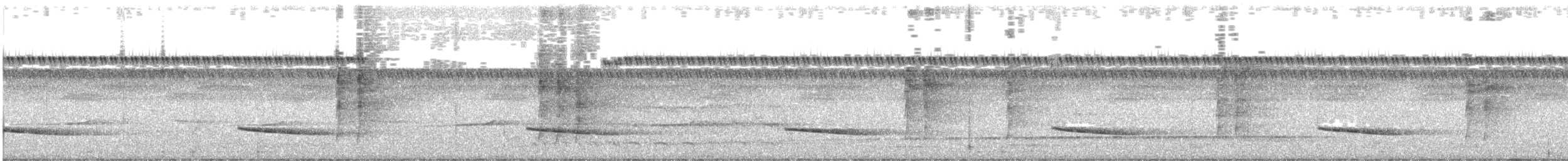 Slaty-capped Shrike-Vireo - ML109388491